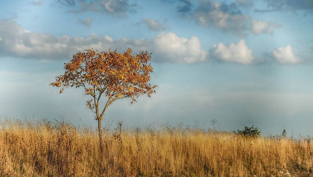 Trockene Landschaft