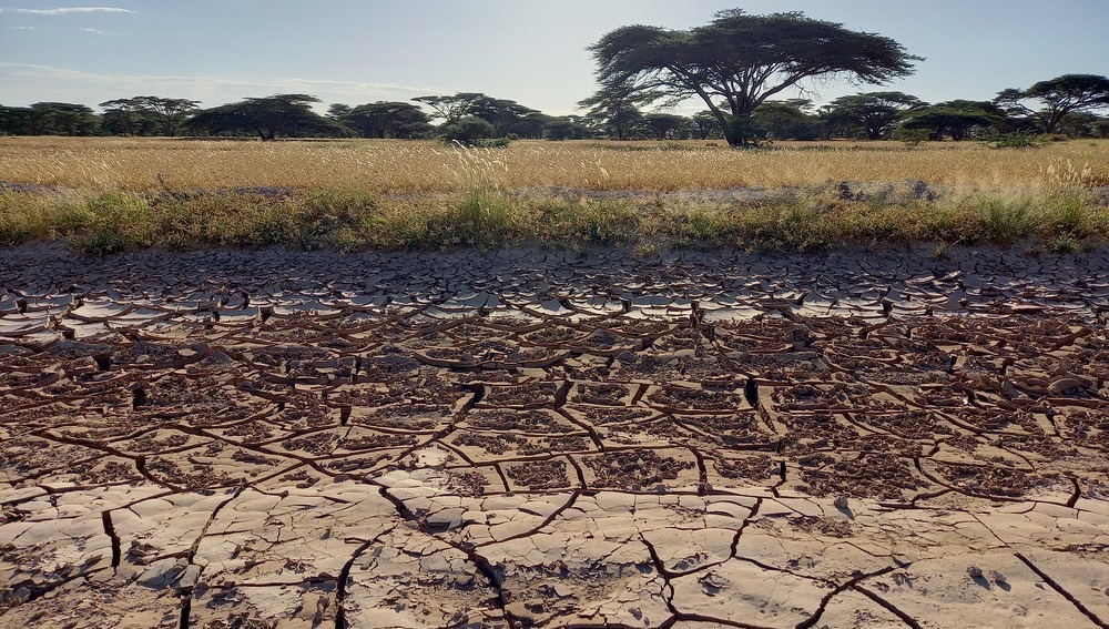 Ausgetrocknete Landschaft in Kenia
