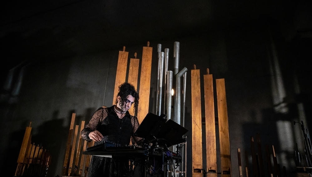 Organism: In Turbulence, Navid Navab